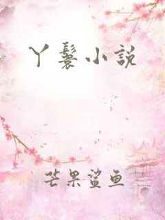 丫鬟小说