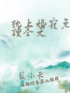 枕上婚宠免费阅读全文