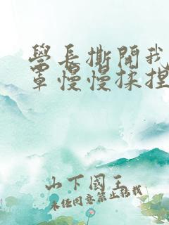 学长撕开我的乳罩慢慢揉捏小说