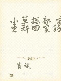 小草总部 定期更新回家的路