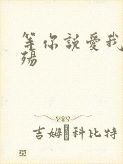 等你说爱我之云殇