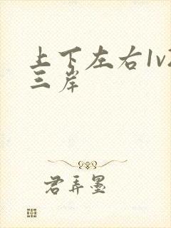 上下左右1v2三岸