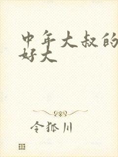 中年大叔的包包好大