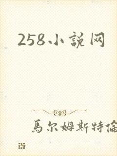 258小说网