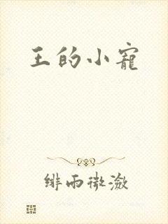 王的小宠