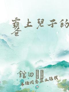 霸上儿子的总裁爸