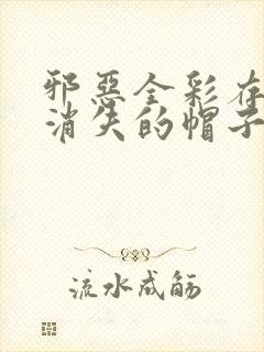 邪恶全彩存在感消失的帽子