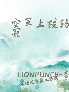 空军上校的邪魅宠