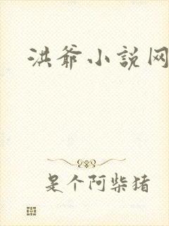 洪爷小说网