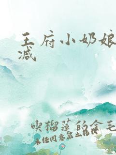 王府小奶娘未删减