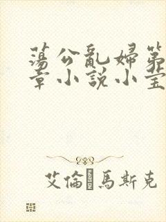 荡公乱妇第51章小说小莹