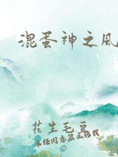 混蛋神之风流