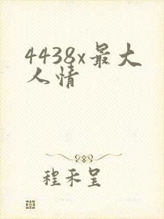 4438x最大人情