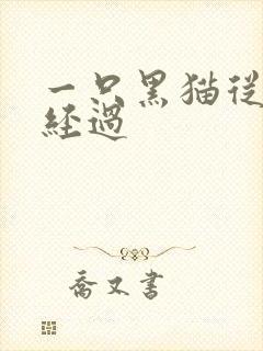 一只黑猫从眼前经过