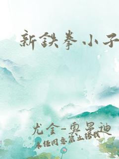 新铁拳小子