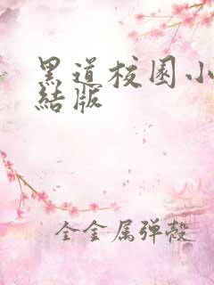 黑道校园小说完结版