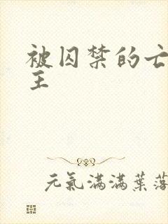 被囚禁的亡国公主