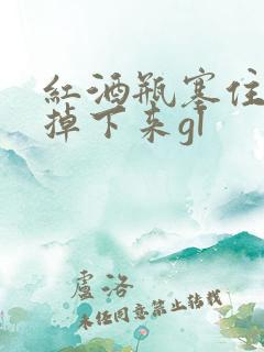 红酒瓶塞住不准掉下来gl