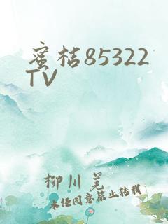蜜桔85322TV