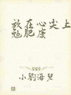 放在心尖上七猫勉肥康