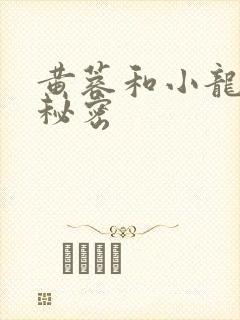 黄蓉和小龙女的秘密