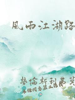 风雨江湖路