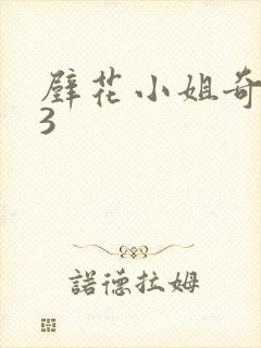 壁花小姐奇遇记3