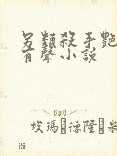 另类杀手艳福星有声小说