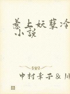 惹上妖孽冷殿下 小说