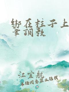 绑在柱子上用毛笔调教