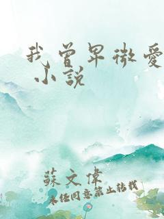 我曾卑微爱过你 小说