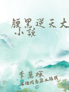 腹黑逆天大小姐 小说