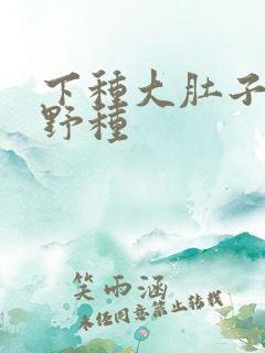 下种大肚子怀孕野种