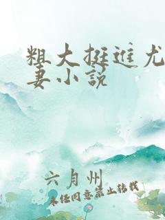 粗大挺进尤物娇妻小说