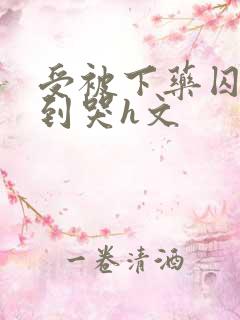 受被下药囚禁脔到哭h文