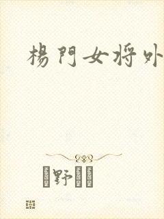 杨门女将外传