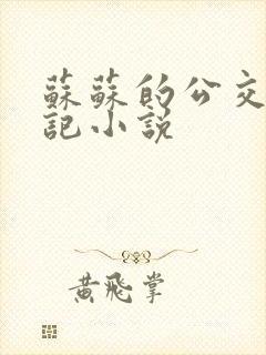 苏苏的公交车日记小说