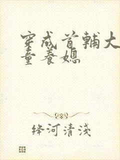 穿成首辅大人的童养媳