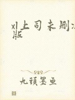 xl上司未删减版