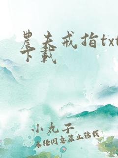 农夫戒指txt下载