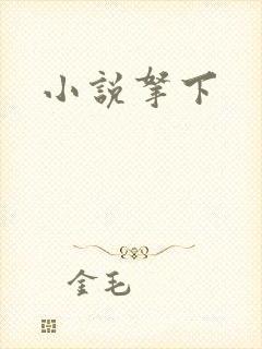 小说拿下