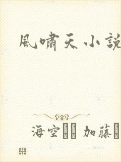 风啸天小说