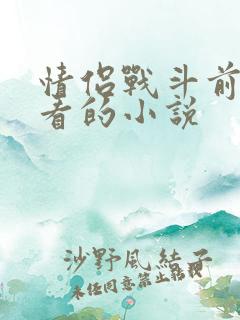 情侣战斗前适合看的小说