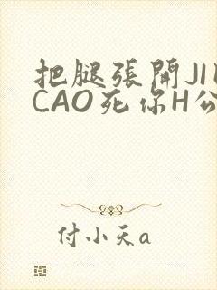 把腿张开JI巴CAO死你H公园