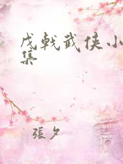 戊戟武侠小说全集