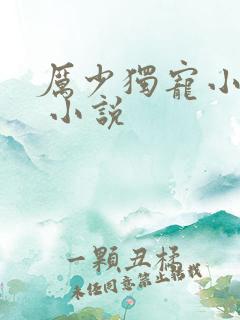 厉少独宠小娇妻 小说