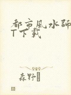 都市风水师TXT下载