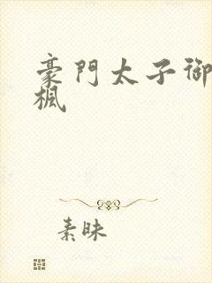 豪门太子御母秦枫