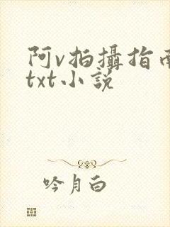 阿v拍摄指南说txt小说