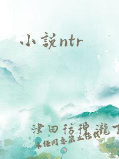 小说ntr